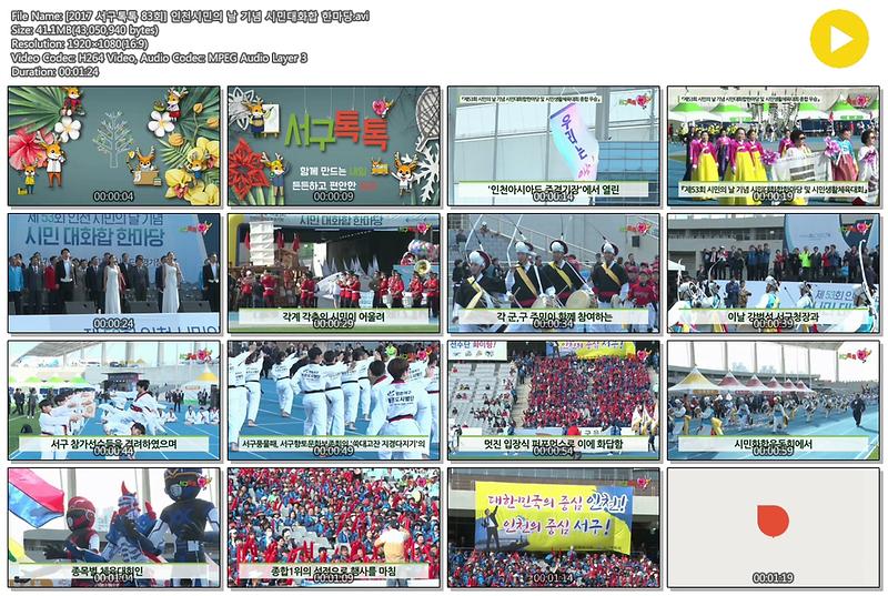 [2017 서구톡톡 83회] 인천시민의 날 기념 시민대화합 한마당 사진